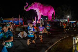 BIB: 
                            <button type="button" onclick="openModal(26552352)" class="btn btn-primary btn-sm float-right btn-popup" data-toggle="modal" data-target=".modal-high-quality">
                        <i class="fas fa-shopping-cart"></i> Add to Cart
                    </button>
                                            <button type="button" onclick="isThisMe(26552352, true)" class="btn btn-success btn-sm float-right btn-popup btn-isme hidden" data-toggle="tooltip" data-placement="bottom" title="นี่คือรูปของคุณใช่ไหม คลิกที่นี่เพื่อเอาเข้าอัลบั้ม">
                        <i class="fas fa-plus"></i> Add to album
                    </button>
                    <button type="button" onclick="isThisMe(26552352, false)" class="btn btn-warning btn-sm float-right btn-popup btn-isnotme hidden">
                        <i class="fas fa-ban"></i> Remove from album
                    </button>